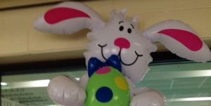 bunny