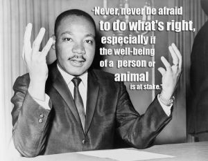 QUOTE-MLK
