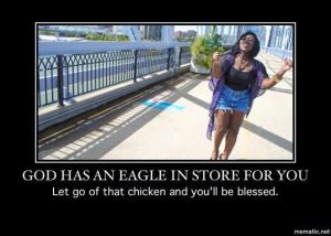 An eagle