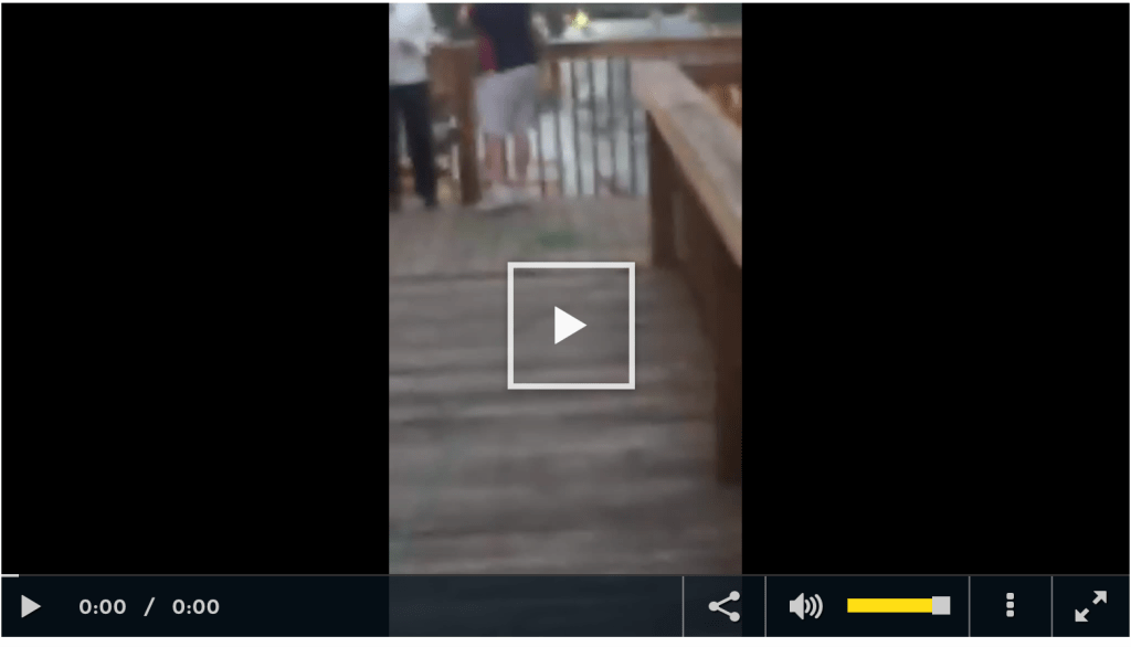 Vester POV video