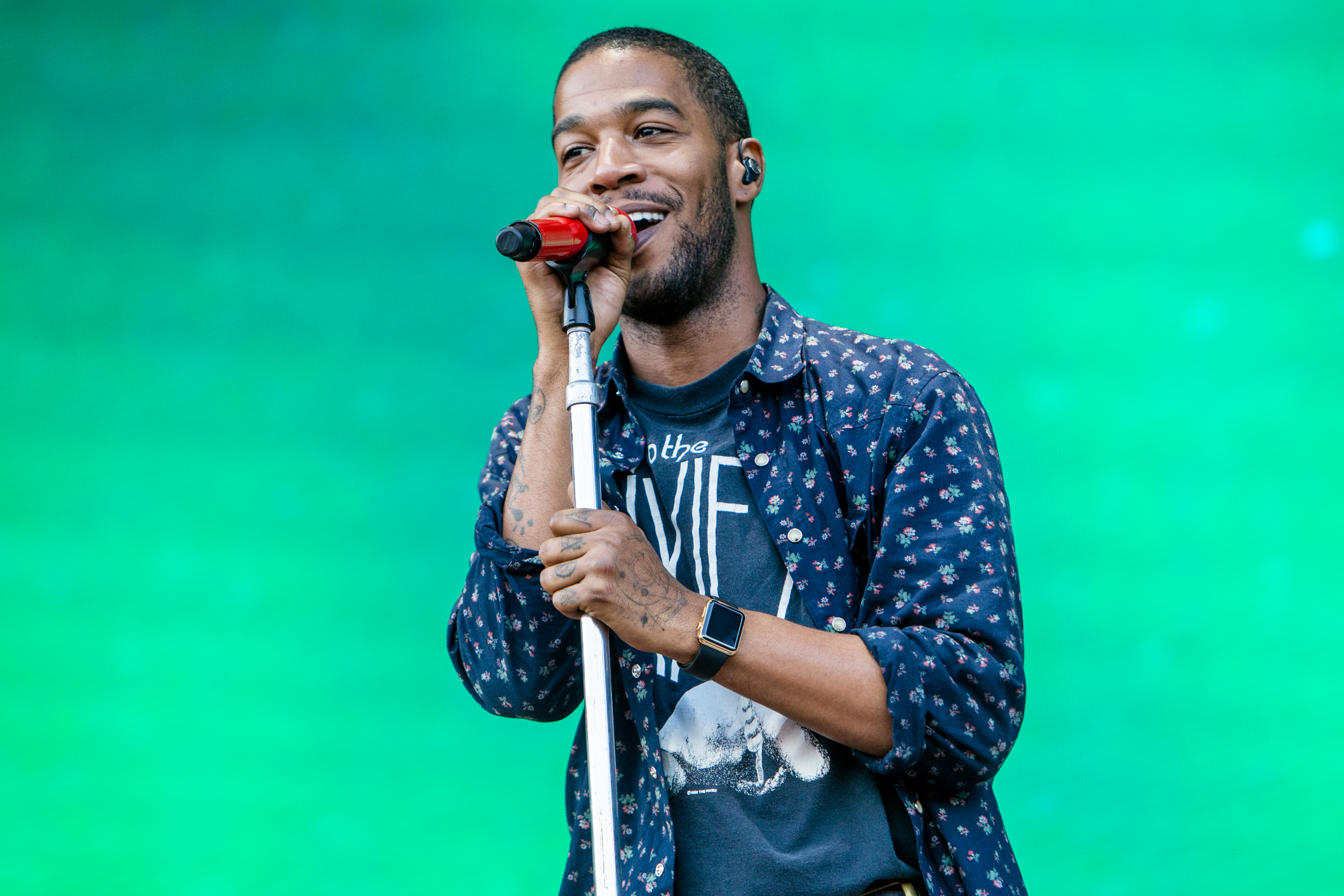 2015 Lollapalooza - Day 2