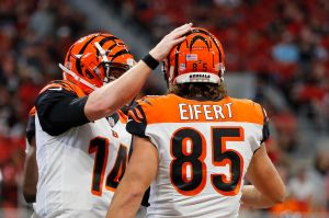 Cincinnati Bengals v Atlanta Falcons