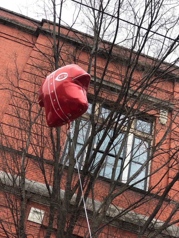 Cincinnati Red's Opening Day 2019