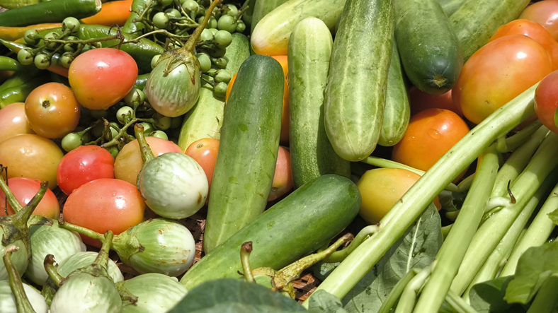 Fresh vegetables for cooking. Vegetables contain dietary fiber that helps cleanse the intestines.