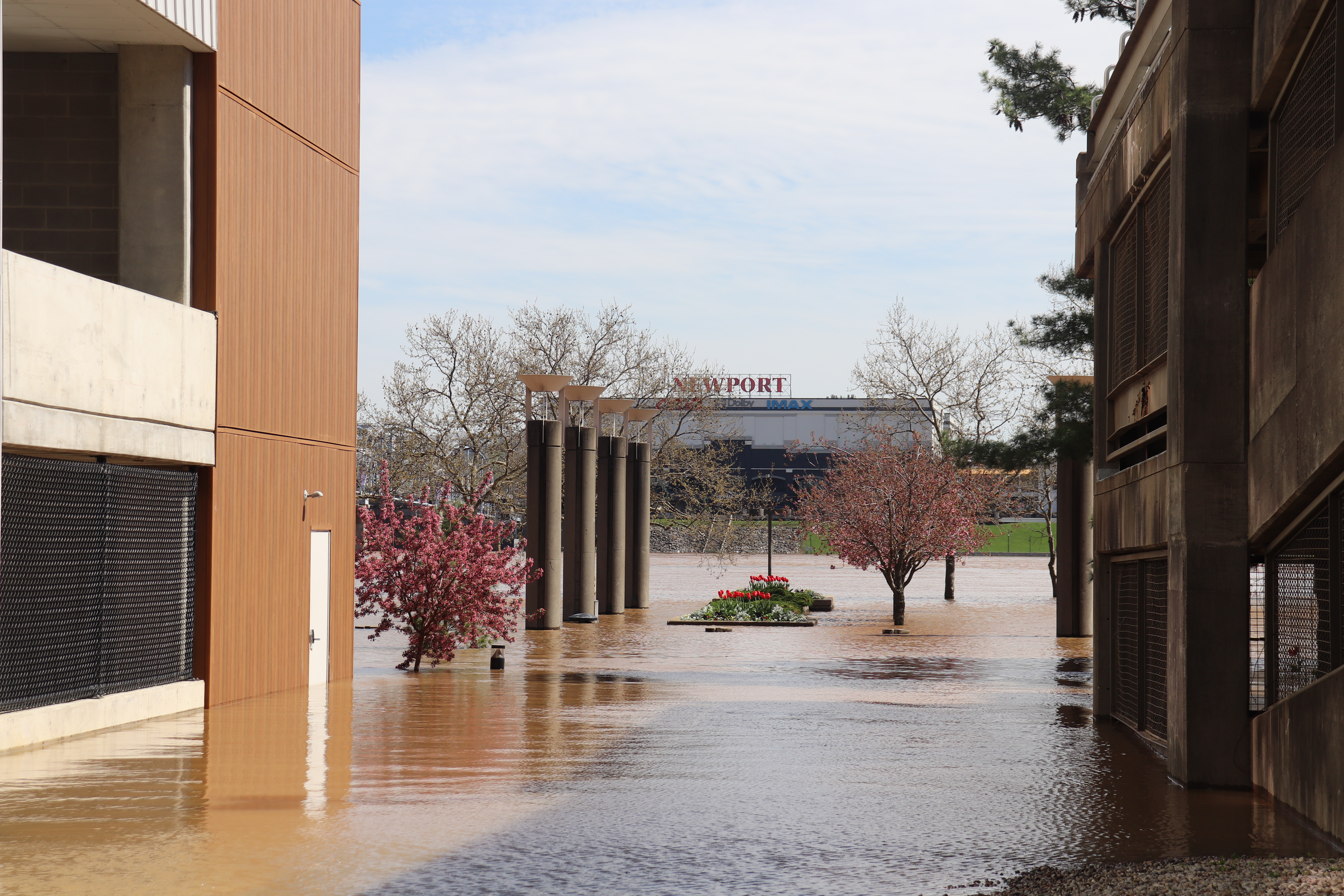 2025 Ohio River Flooding Downtown Cincinnati
