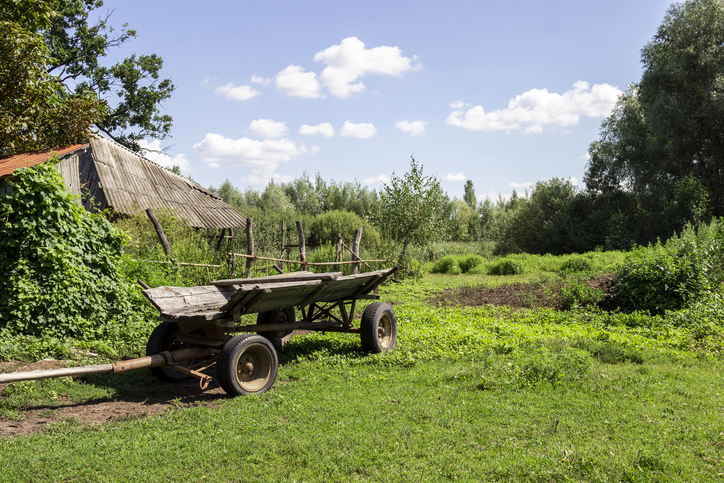 Cart on green meadow. Old barn roof and wooden fences.