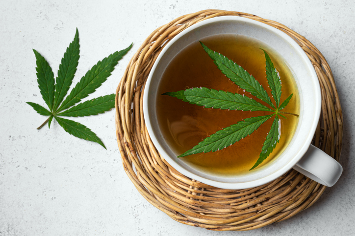 Cup of Hemp herbal tea and green hemp leaves